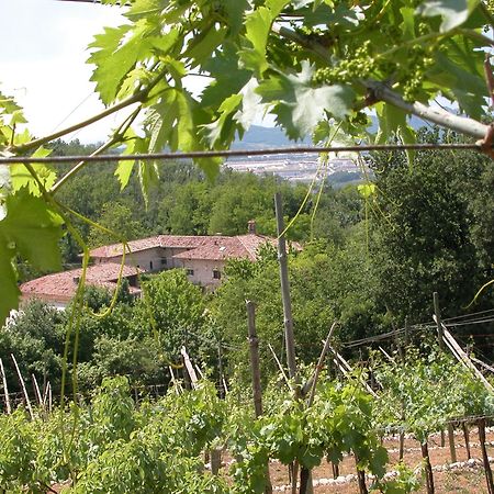 Agriturismo Ca' Verde Sant'Ambrogio di Valpolicella Exterior photo
