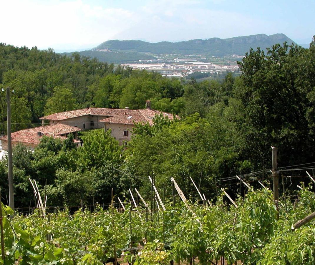 Agriturismo Ca' Verde Sant'Ambrogio di Valpolicella Exterior photo