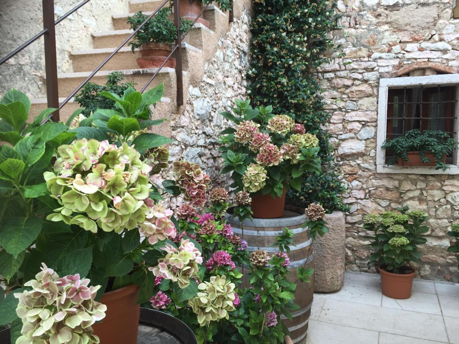 Agriturismo Ca' Verde Sant'Ambrogio di Valpolicella Exterior photo