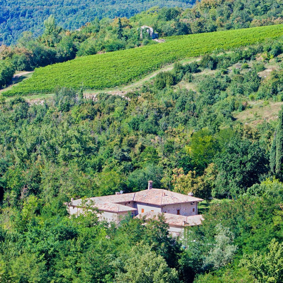 Agriturismo Ca' Verde Sant'Ambrogio di Valpolicella Exterior photo