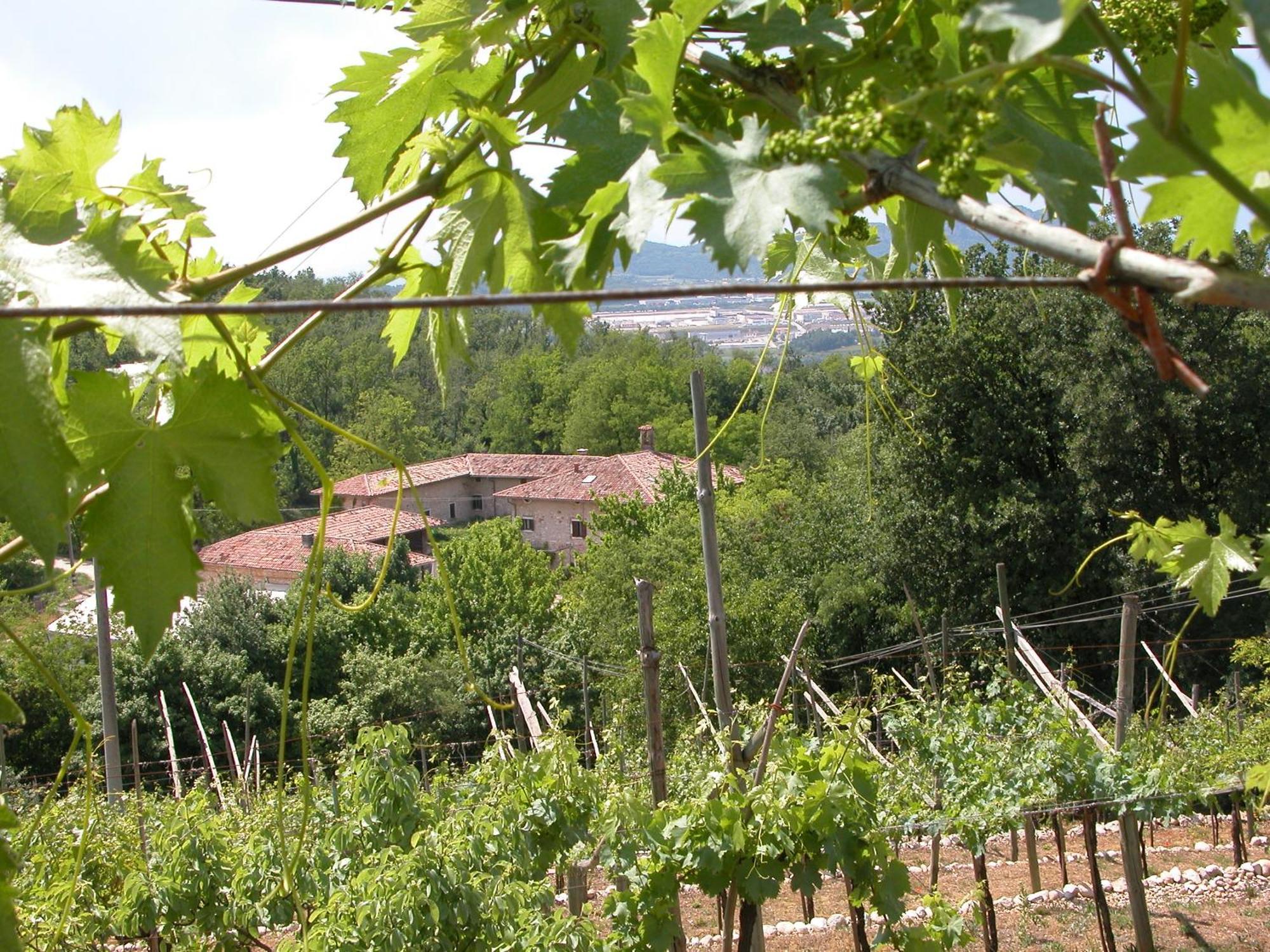 Agriturismo Ca' Verde Sant'Ambrogio di Valpolicella Exterior photo